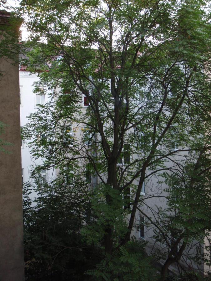 Augartenblick Penthaus 17 - Blick Zum Riesenrad 비엔나 외부 사진